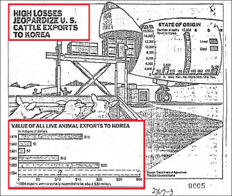 ▲ 1984년 5월 13일자 ‘캔사스시티스타’ 의 한국소 검역부정 특집기사의 일부