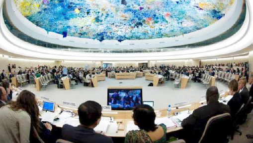 ▲ 유엔 OHCHR 전체회의 모습